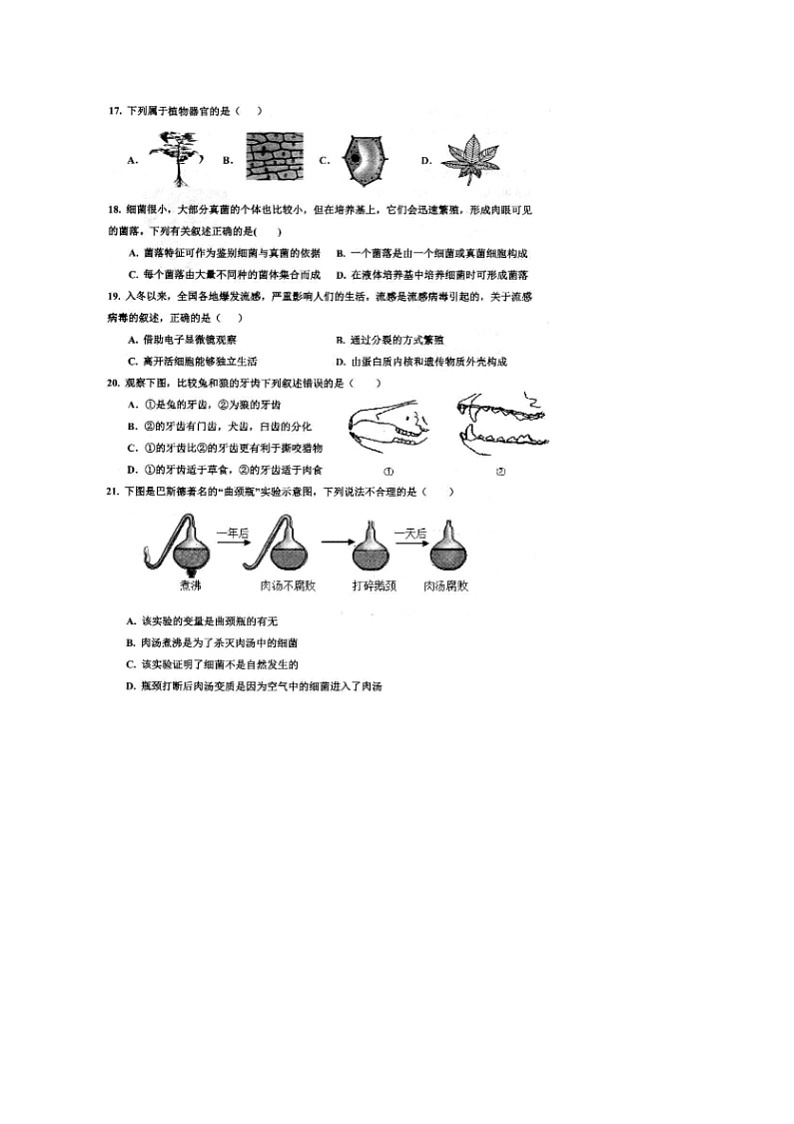山东省乐陵市2024-2025学年度第一学期期末考试七年级生物试题第3页