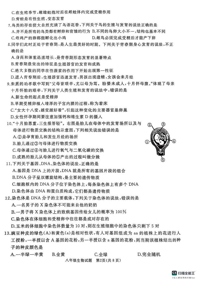 山东省曲阜市2024-2025学年八年级上学期期末考试生物试卷第2页