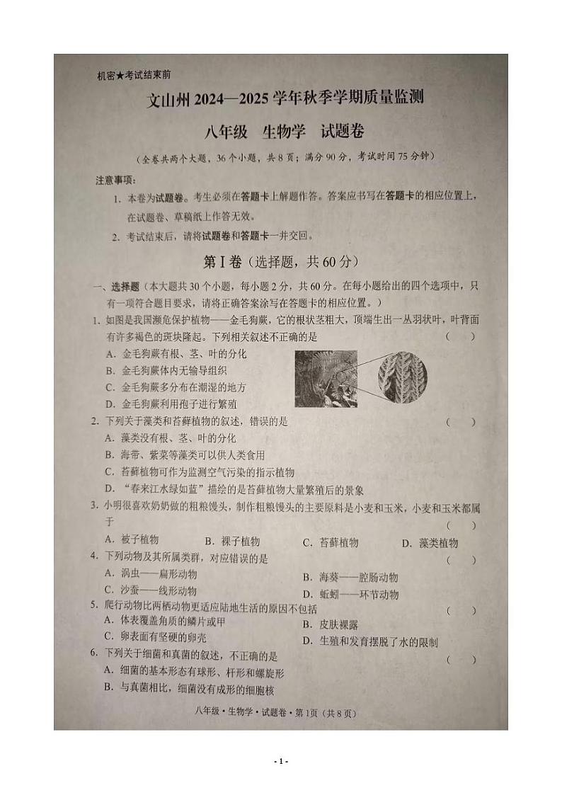 云南省文山壮族苗族自治州2024-2025学年八年级上学期期末生物试题第1页