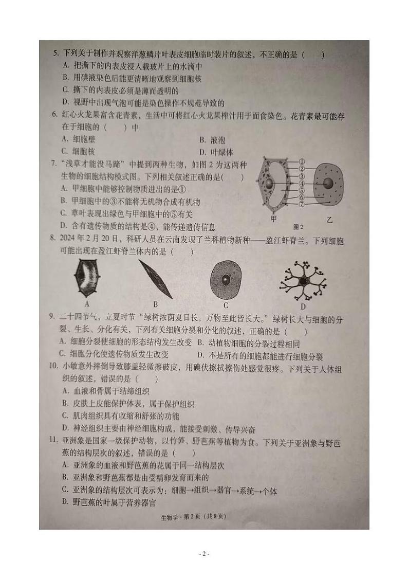 云南省文山壮族苗族自治州文山市2024-2025学年七年级上学期期末生物试题第2页