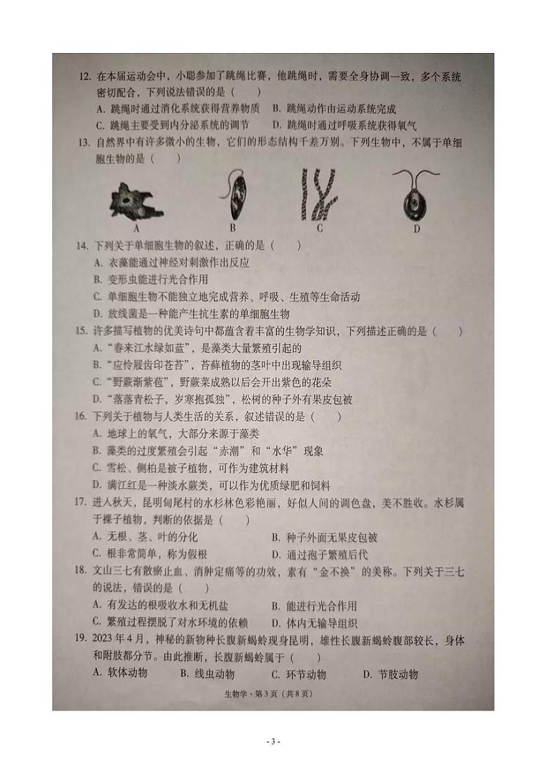 云南省文山壮族苗族自治州文山市2024-2025学年七年级上学期期末生物试题第3页