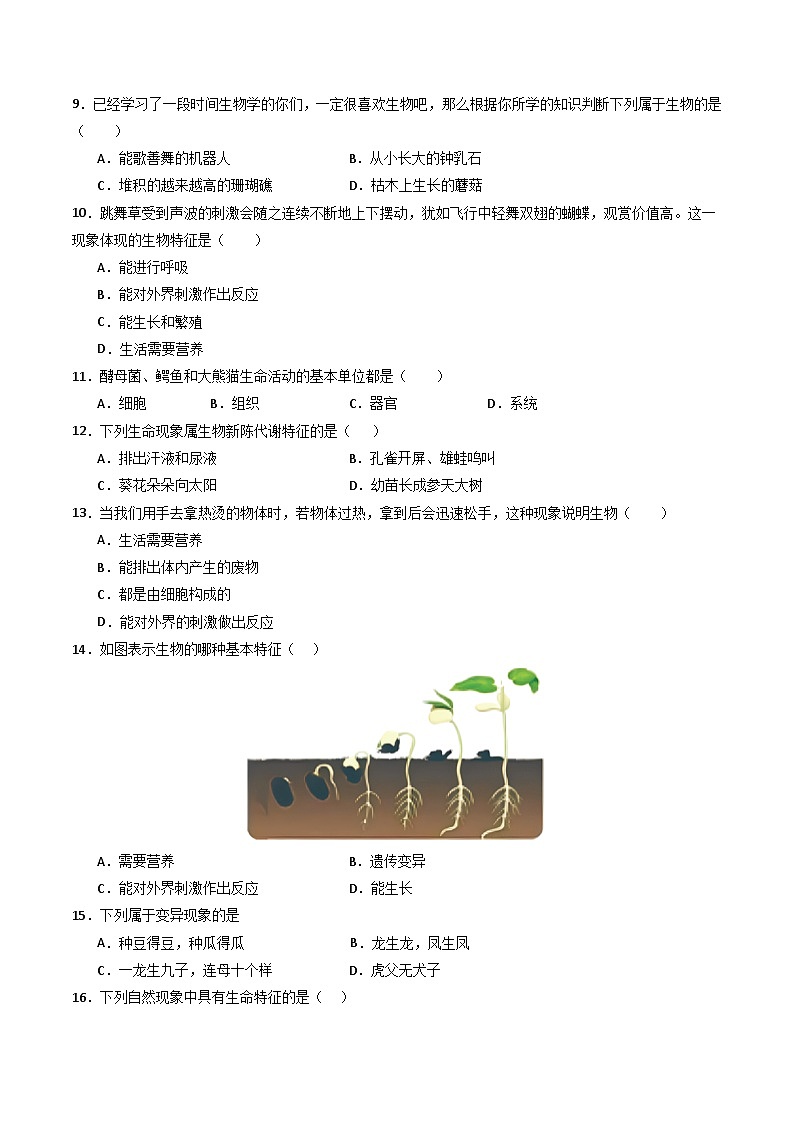 鲁科版五四学制2024 初中生物 六年级上册生物 必刷试卷01 认识生物(原卷版)第3页