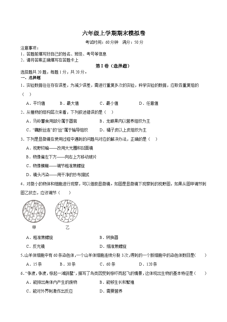 鲁科版五四学制2024   初中生物 六年级上册生物 期末模拟卷（原卷版+解析版）