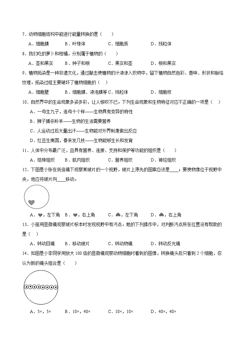 鲁科版五四学制2024 初中生物 六年级上册生物 期末模拟卷(原卷版)第2页