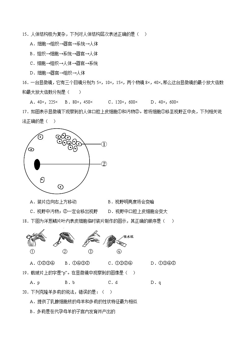 鲁科版五四学制2024 初中生物 六年级上册生物 期末模拟卷(原卷版)第3页