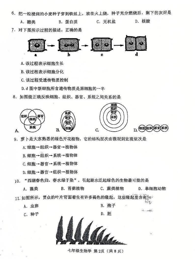 天津市河北区2024-2025学年七年级上学期期末考试 生物试题(原卷版)第2页