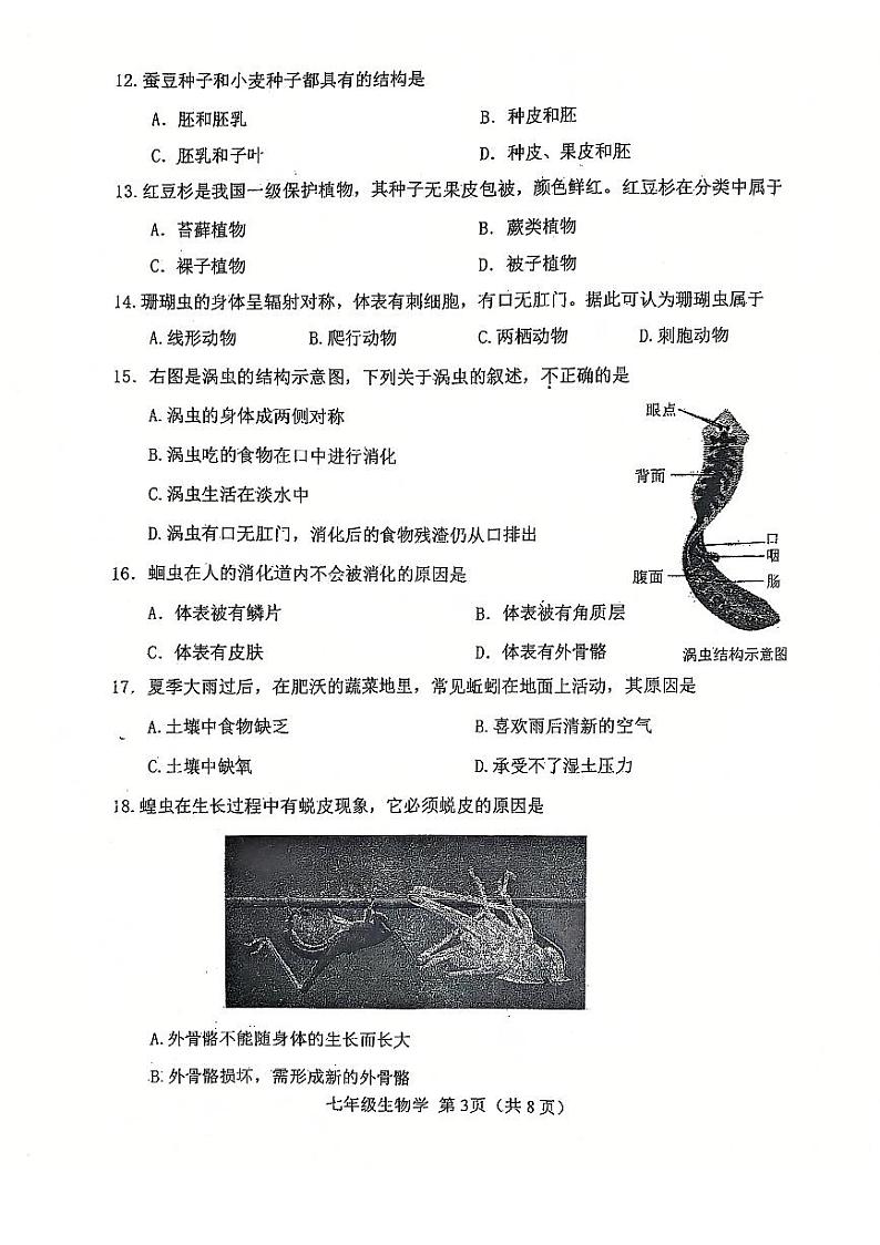 天津市河北区2024-2025学年七年级上学期期末考试 生物试题(原卷版)第3页