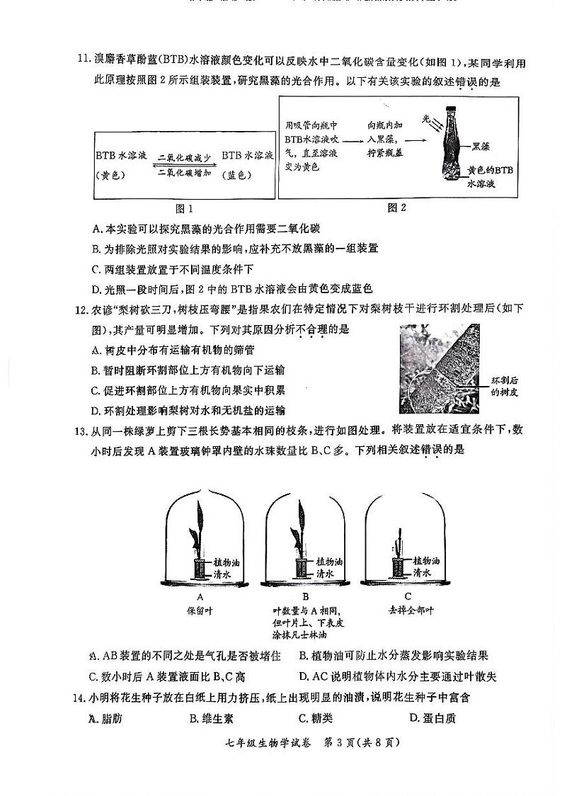 2025北京通州初一(上)期末生物试卷第3页