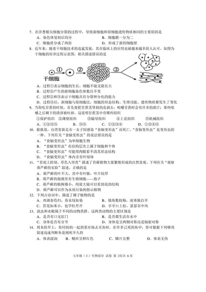 2024~2025学年四川省眉山市仁寿县七年级上期末教学质量监测生物试卷(含答案)第2页