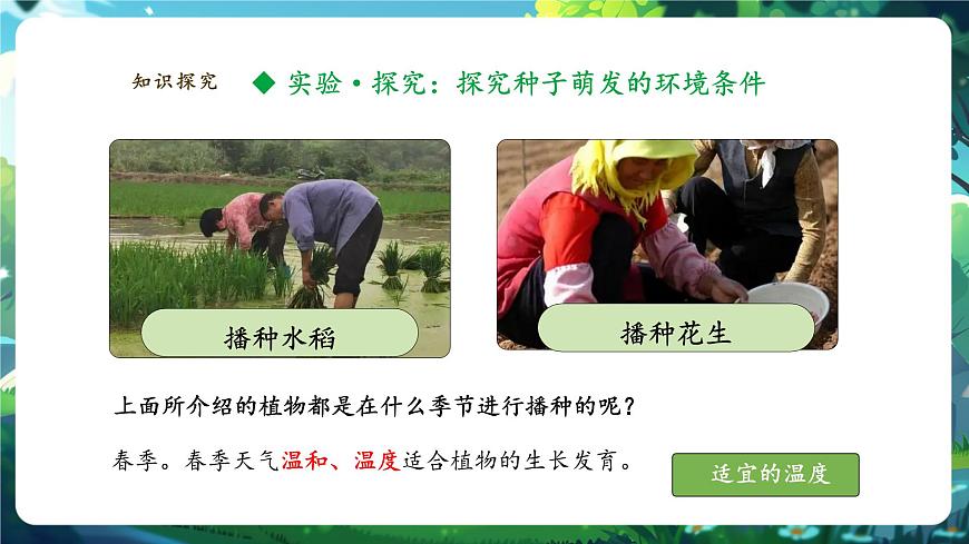 生物七下 3.1.1種子的萌發(fā)課件第5頁(yè)