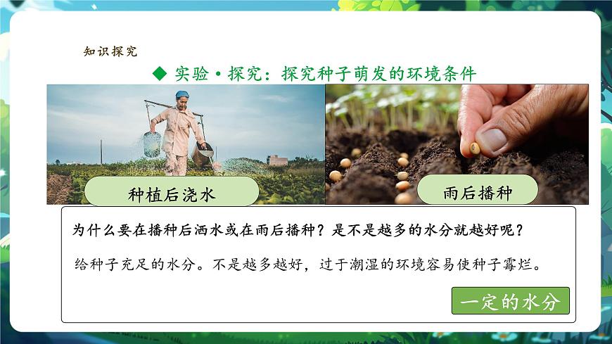 生物七下 3.1.1種子的萌發(fā)課件第6頁(yè)