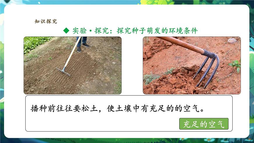 生物七下 3.1.1種子的萌發(fā)課件第7頁(yè)