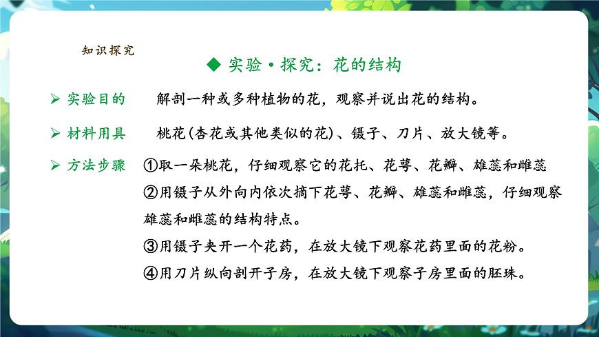 生物七下 3.1.3開花和結(jié)果 課件(共30張PPT)+視頻素材.1第5頁(yè)