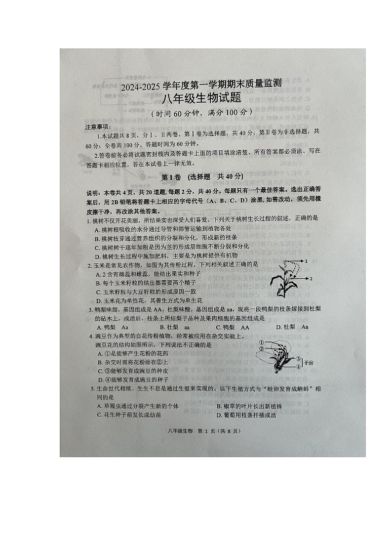 山东省潍坊市临朐县2024-2025学年八年级上学期期末考试生物试题第1页