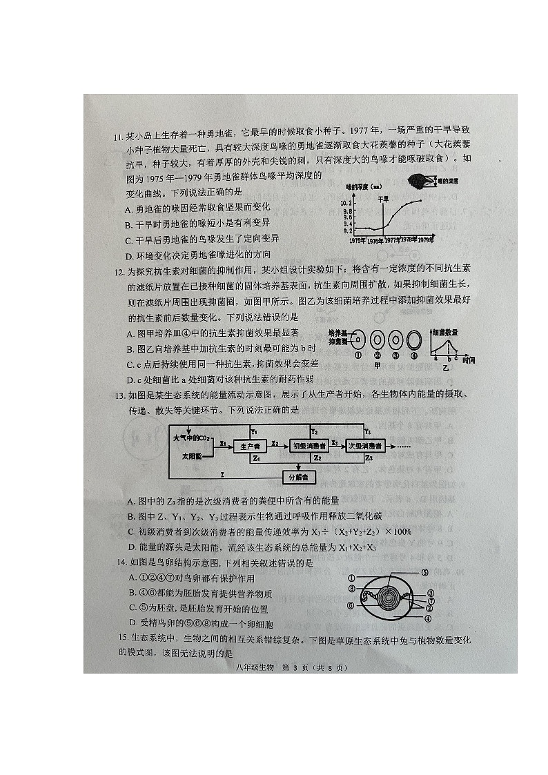 山东省潍坊市临朐县2024-2025学年八年级上学期期末考试生物试题第3页