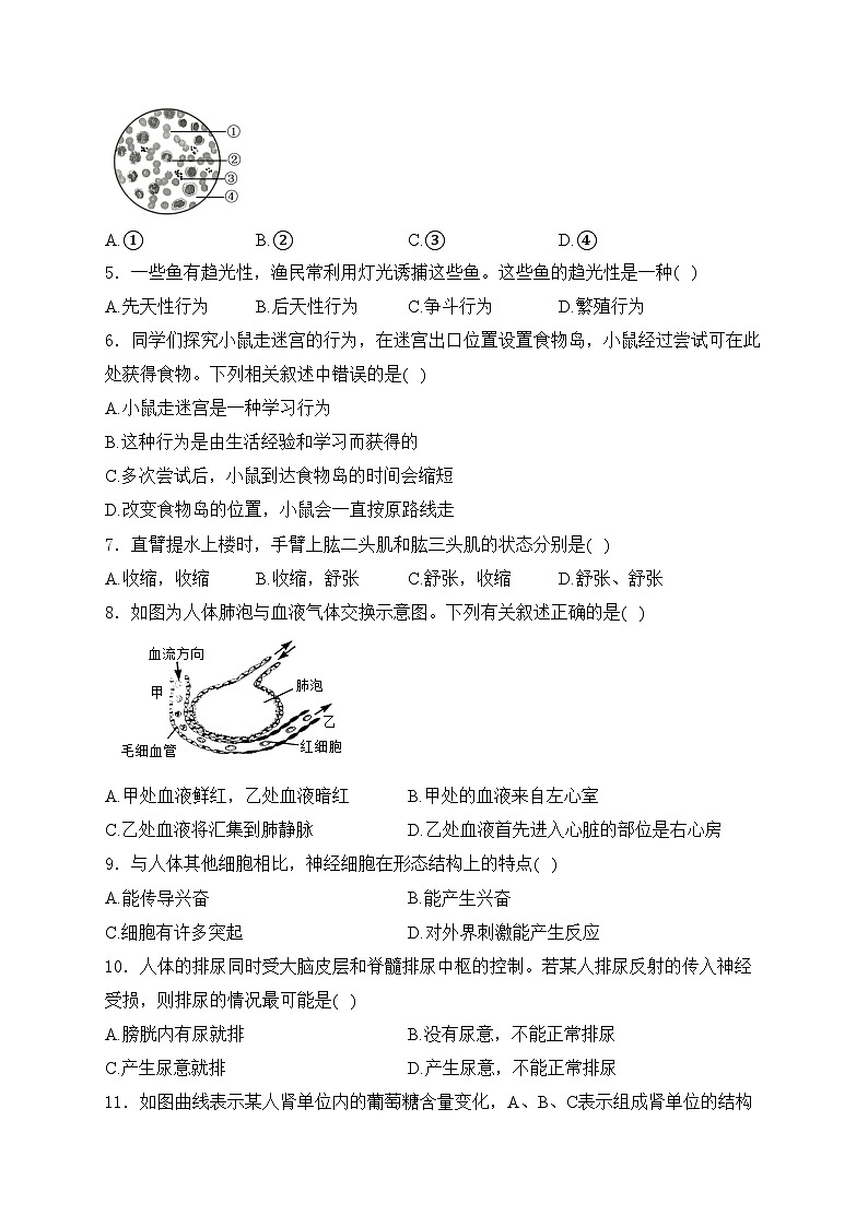 江苏省扬州市邗江区2024-2025学年八年级上学期期末生物试卷(含答案)第2页