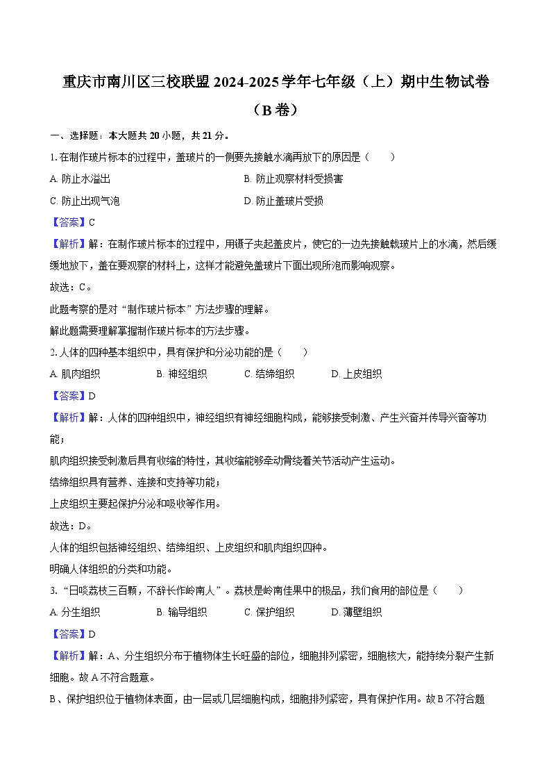 重庆市南川区三校联盟2024-2025学年七年级（上）期中生物试卷（B卷）（解析版）