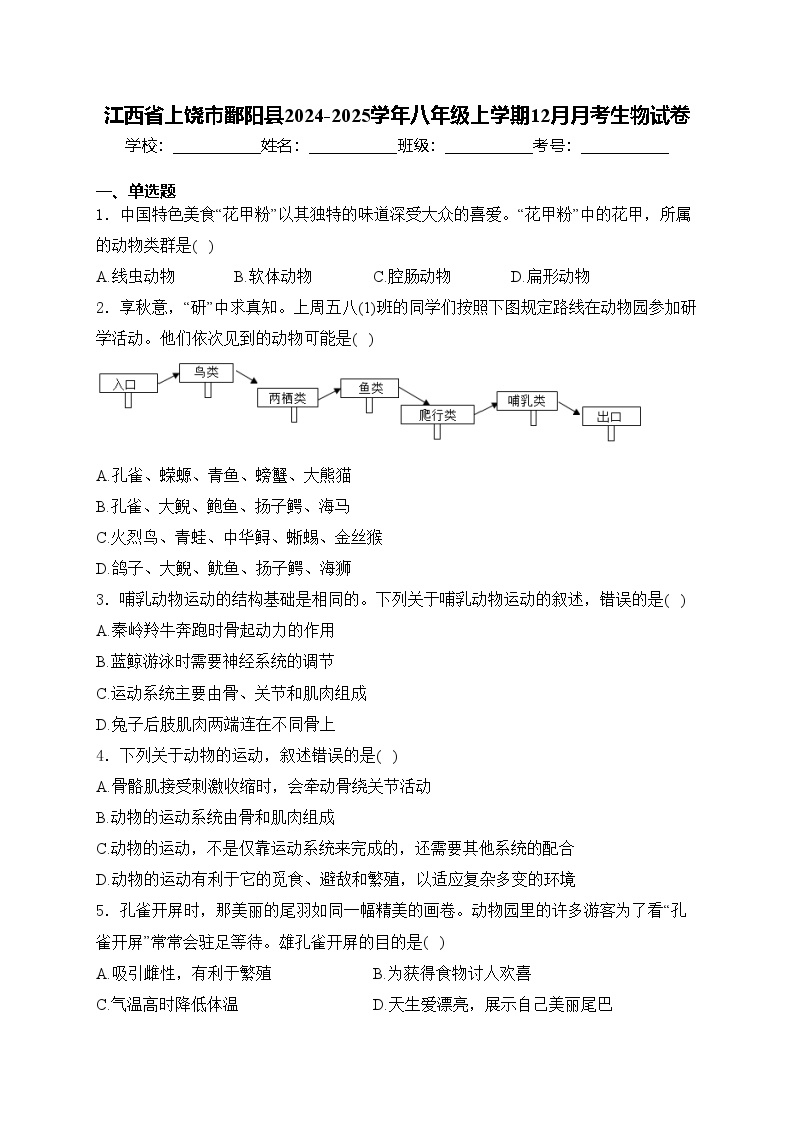 江西省上饶市鄱阳县2024-2025学年八年级上学期12月月考生物试卷(含答案)