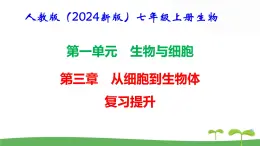 人教版（2024新版）七年级上册生物第一单元 第三章从细胞到生物体 复习课件