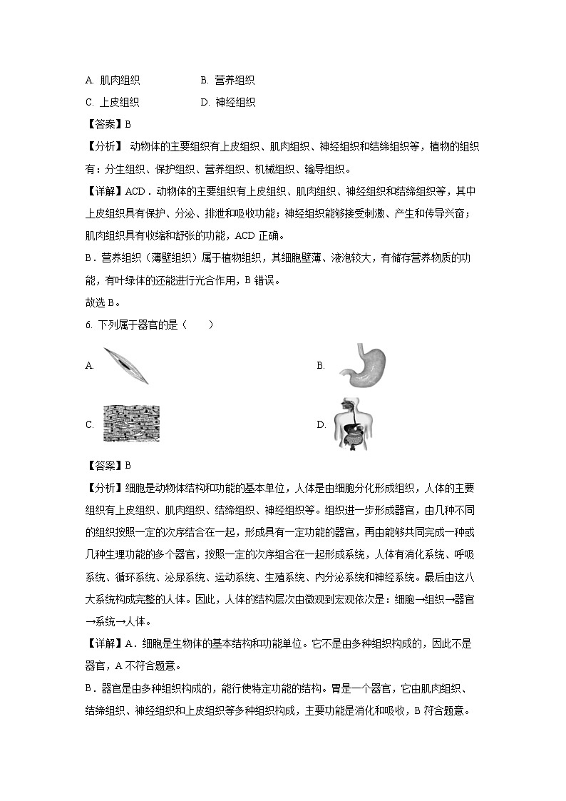 2023~2024学年福建省宁德市七年级上期末生物试卷(解析版)第3页