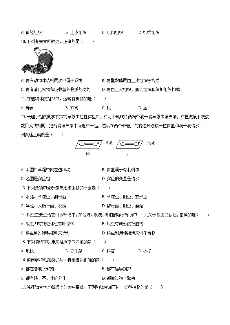 云南省昭通市民族中学2024-2025学年七年级(上)期末生物试卷-自定义类型第2页