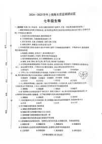 河南济源人教版2024年—2025年初中生物七年级级上学期期末生物试卷