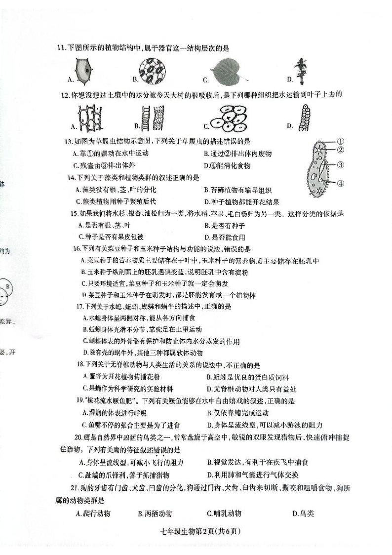 河南济源人教版2024年—2025年初中生物七年级级上学期期末生物试卷第2页