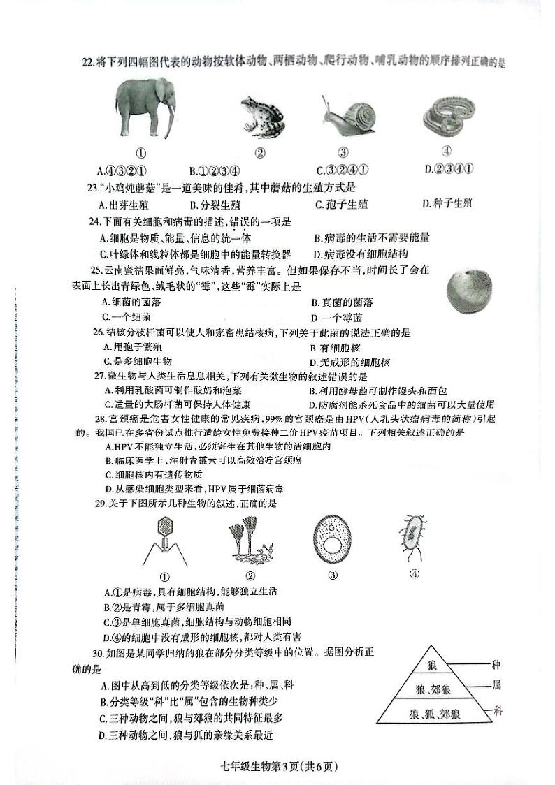 河南济源人教版2024年—2025年初中生物七年级级上学期期末生物试卷第3页