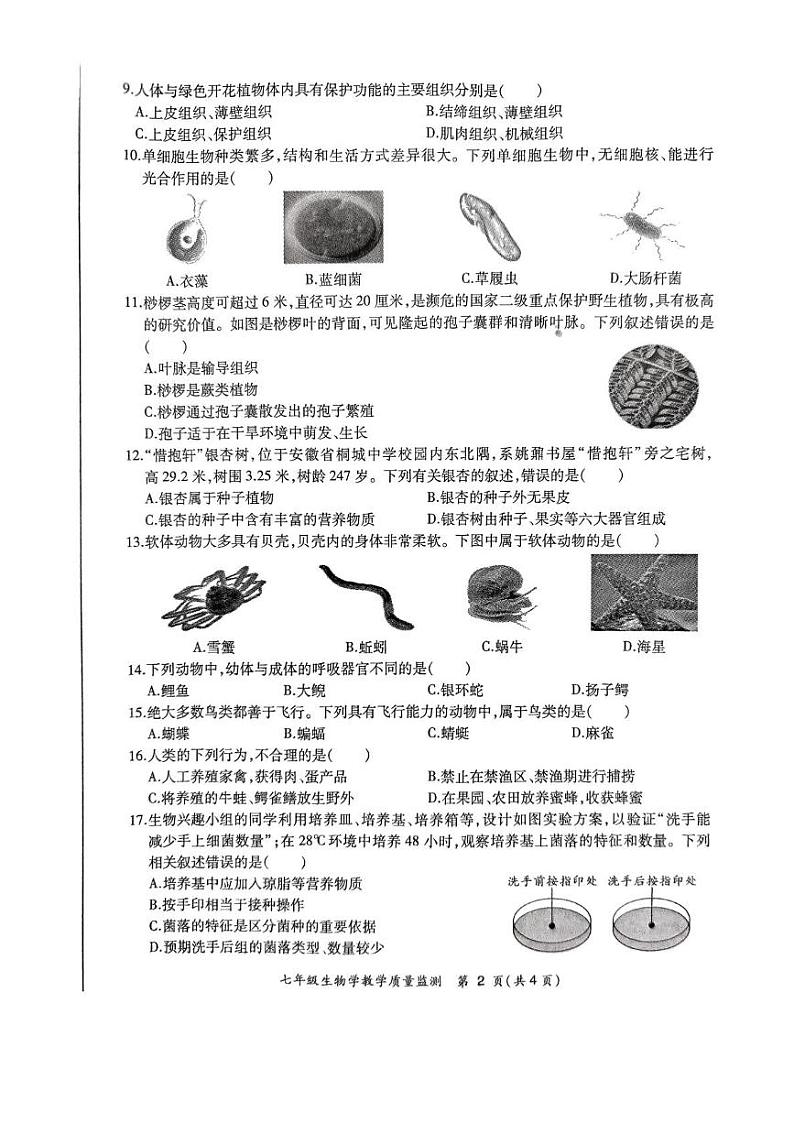 安徽省亳州市利辛县2024-2025学年七年级上学期1月期末生物试题第2页