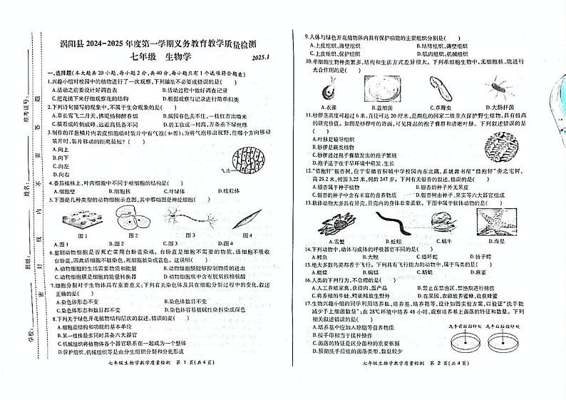 安徽省亳州市涡阳县2024-2025学年七年级上学期期末考试生物试卷第1页