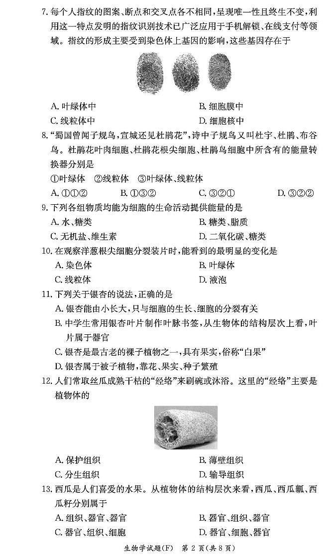 湖南师大附中集团2024-2025七年级上学期生物试卷(附中七年级期末1期)第2页