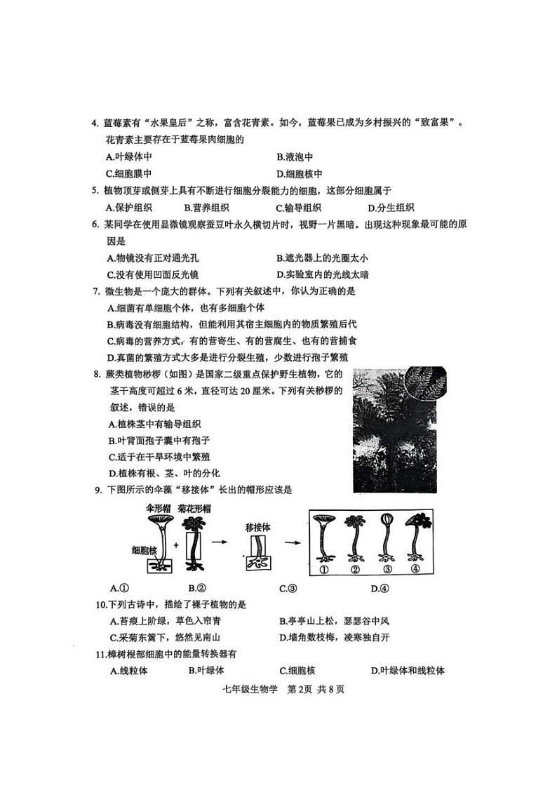 江苏省常州市溧阳市2024-2025学年七年级上学期期末考试生物试题第2页
