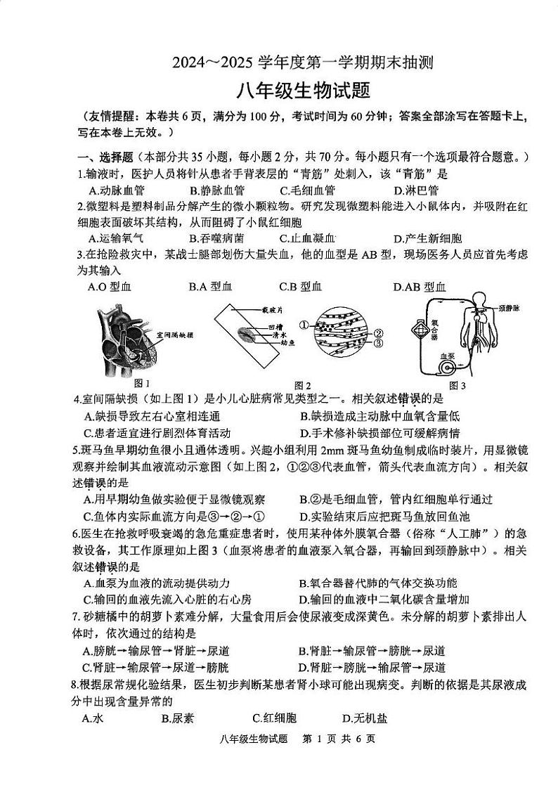 江苏省徐州市2024 _2025学年八年级上学期期末抽测生物试题第1页