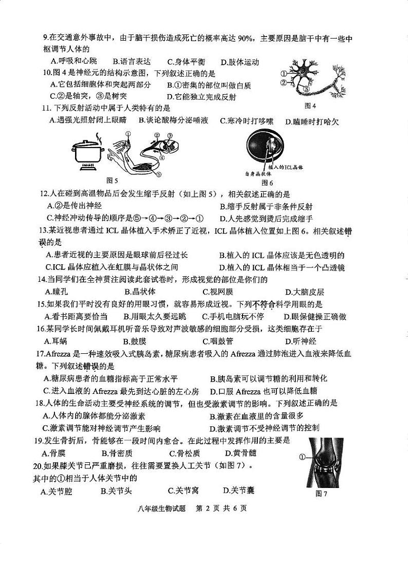 江苏省徐州市2024 _2025学年八年级上学期期末抽测生物试题第2页