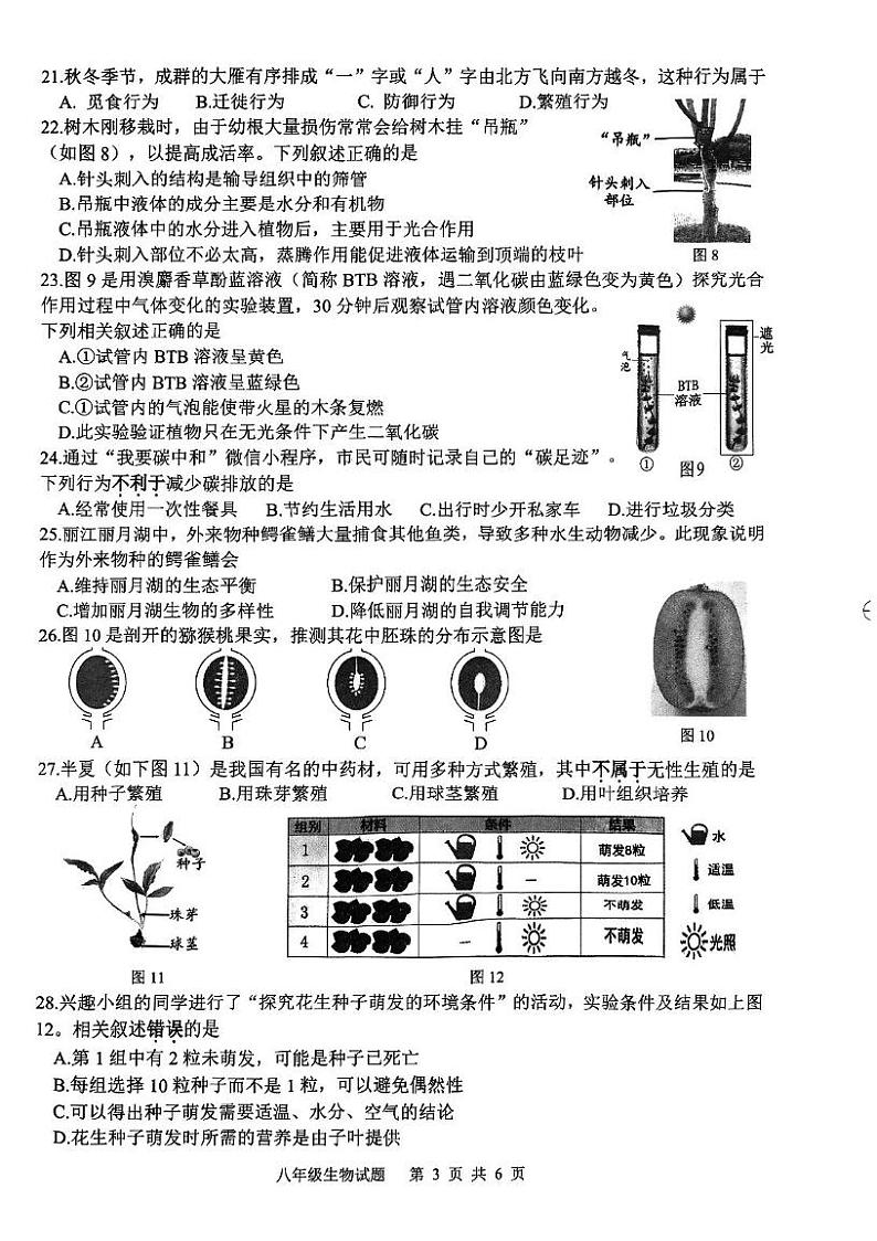 江苏省徐州市2024 _2025学年八年级上学期期末抽测生物试题第3页