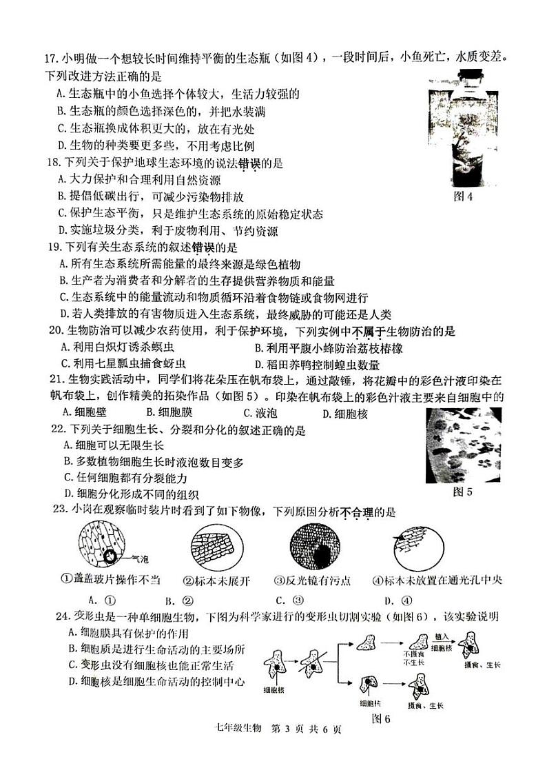 江苏省徐州市沛县2024-2025学年七年级上学期1月期末生物试题第3页