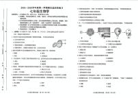 河北省石家庄桥西区2024-2025学年七年级上学期1月期末生物试题