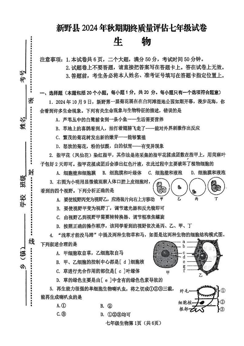 河南省南阳市新野县2024-2025学年七年级上学期1月生物期末考试题第1页