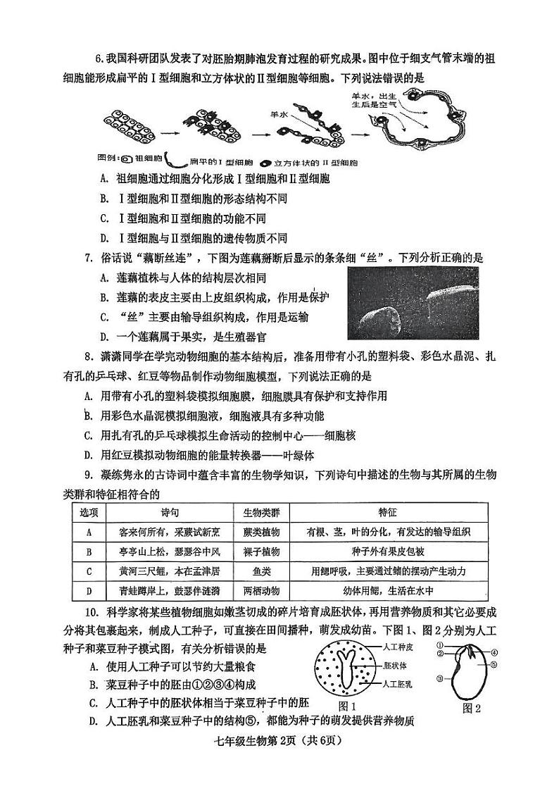 河南省南阳市新野县2024-2025学年七年级上学期1月生物期末考试题第2页