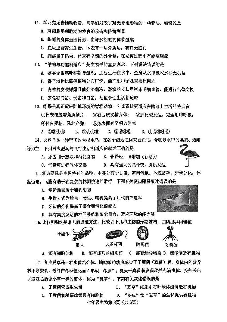 河南省南阳市新野县2024-2025学年七年级上学期1月生物期末考试题第3页
