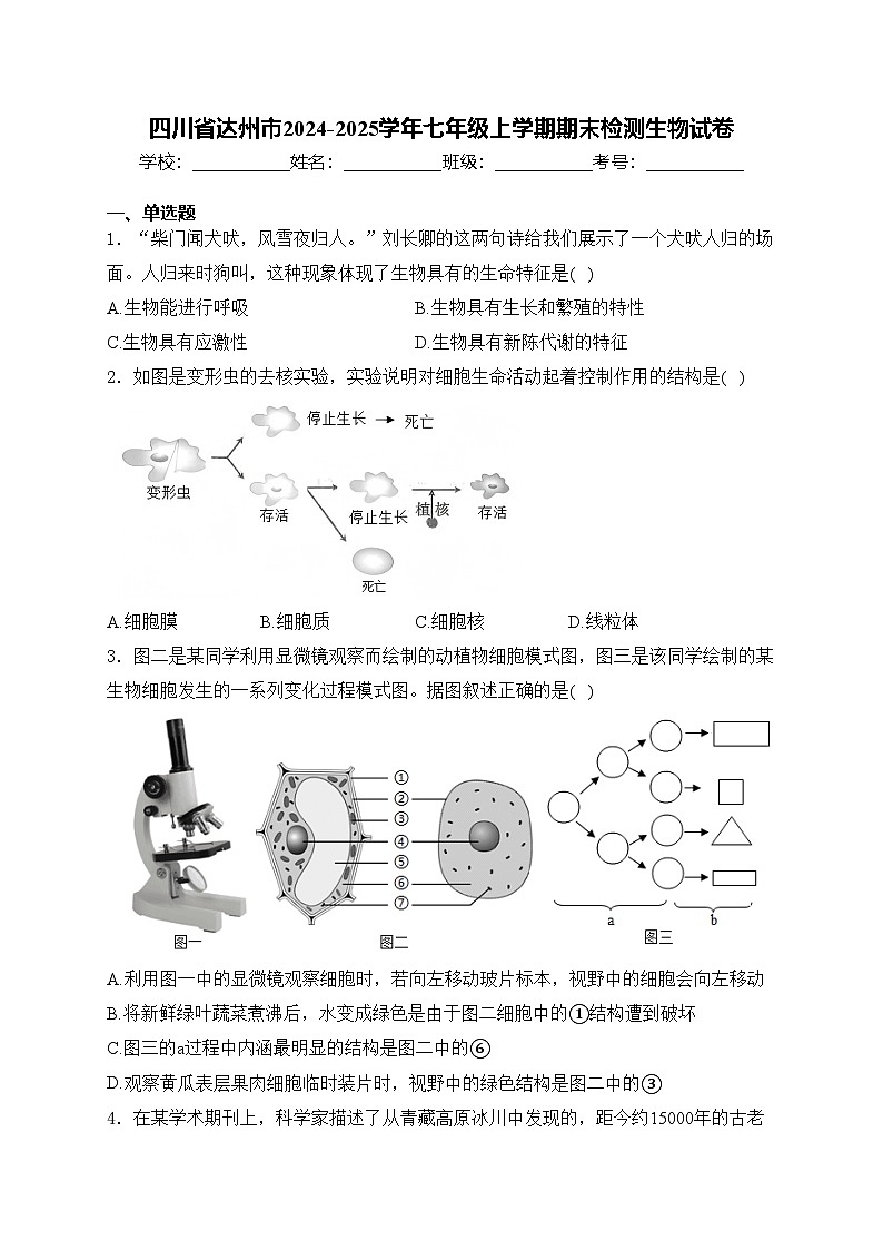 四川省达州市2024-2025学年七年级上学期期末检测生物试卷(含答案)第1页