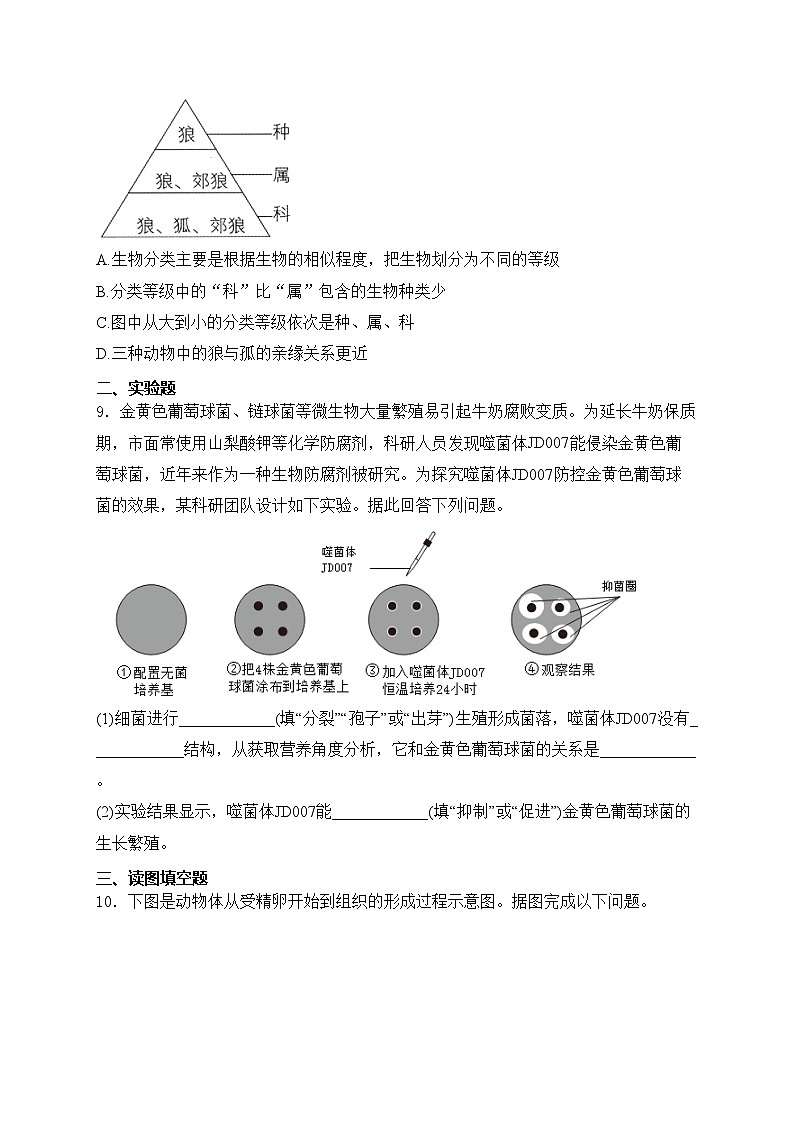四川省达州市2024-2025学年七年级上学期期末检测生物试卷(含答案)第3页