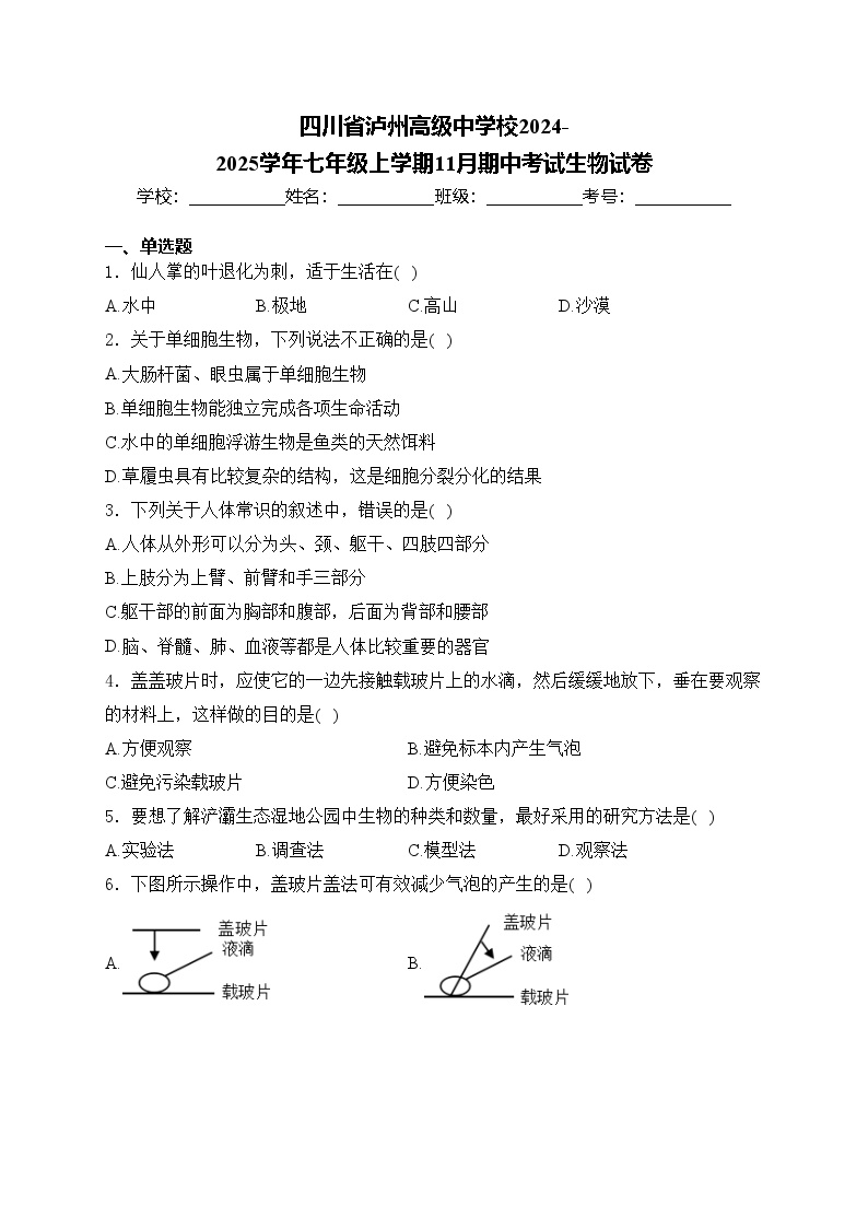 四川省泸州高级中学校2024-2025学年七年级上学期11月期中考试生物试卷(含答案)