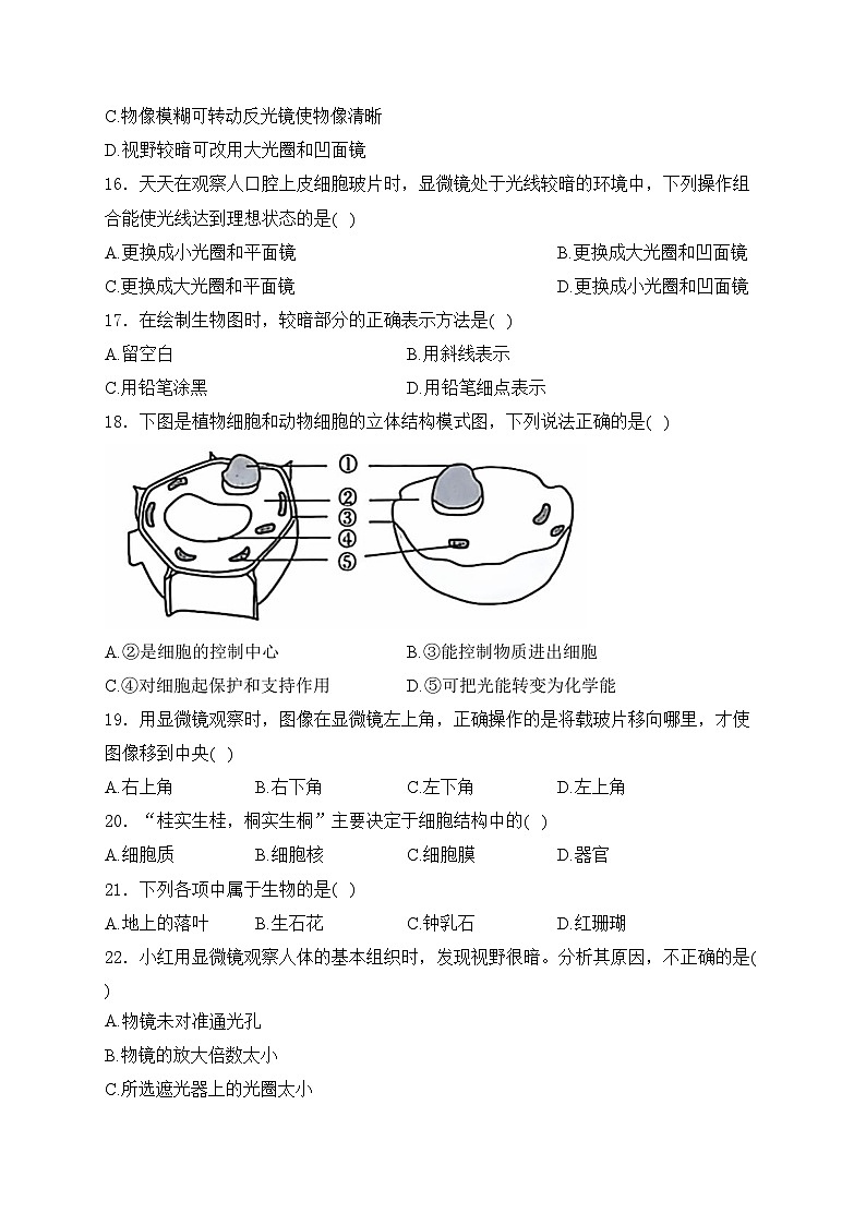 四川省泸州高级中学校2024-2025学年七年级上学期11月期中考试生物试卷(含答案)第3页