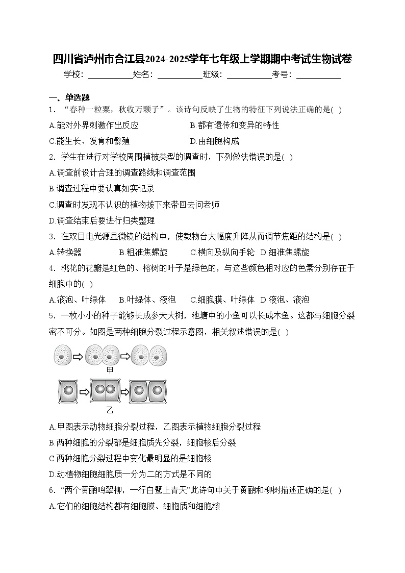 四川省泸州市合江县2024-2025学年七年级上学期期中考试生物试卷(含答案)