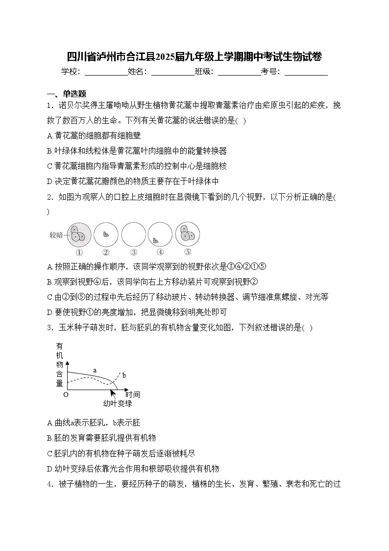 四川省泸州市合江县2025届九年级上学期期中考试生物试卷(含答案)