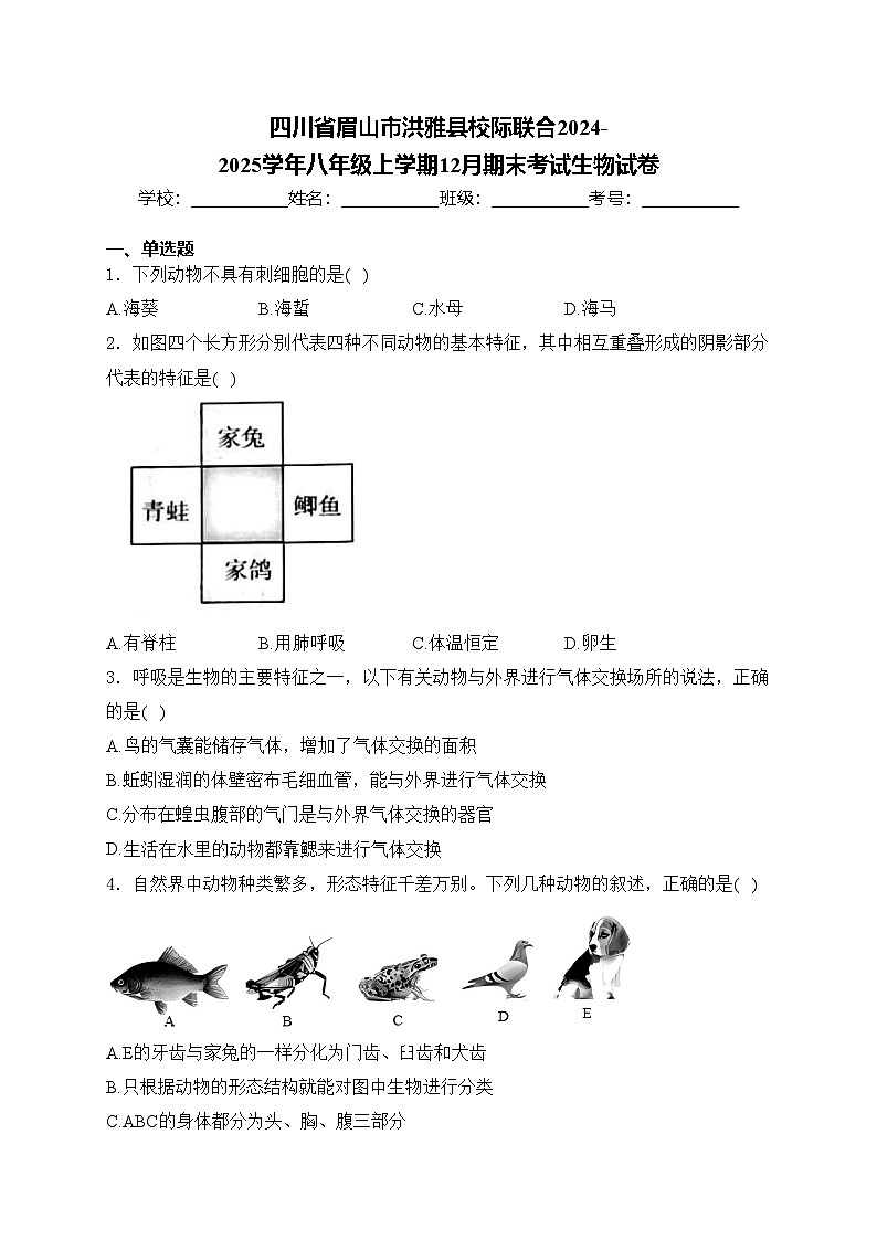四川省眉山市洪雅县校际联合2024-2025学年八年级上学期12月期末考试生物试卷(含答案)第1页