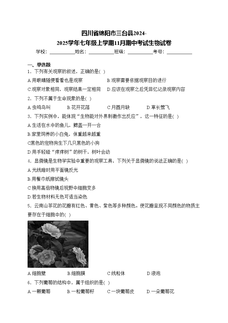 四川省绵阳市三台县2024-2025学年七年级上学期11月期中考试生物试卷(含答案)