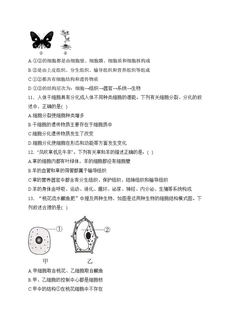 四川省自贡市富顺第二中学校2024-2025学年七年级上学期11月期中生物学试卷(含答案)第3页