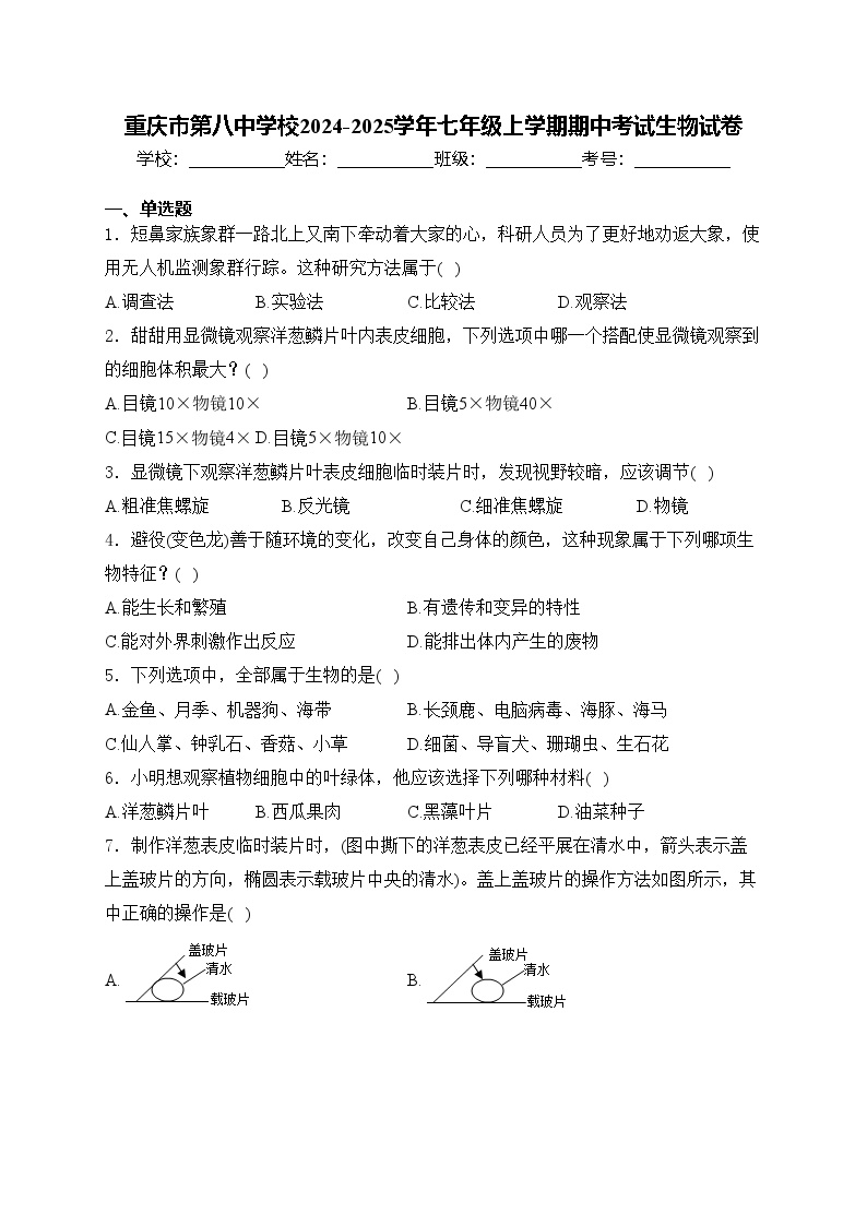 重庆市第八中学校2024-2025学年七年级上学期期中考试生物试卷(含答案)